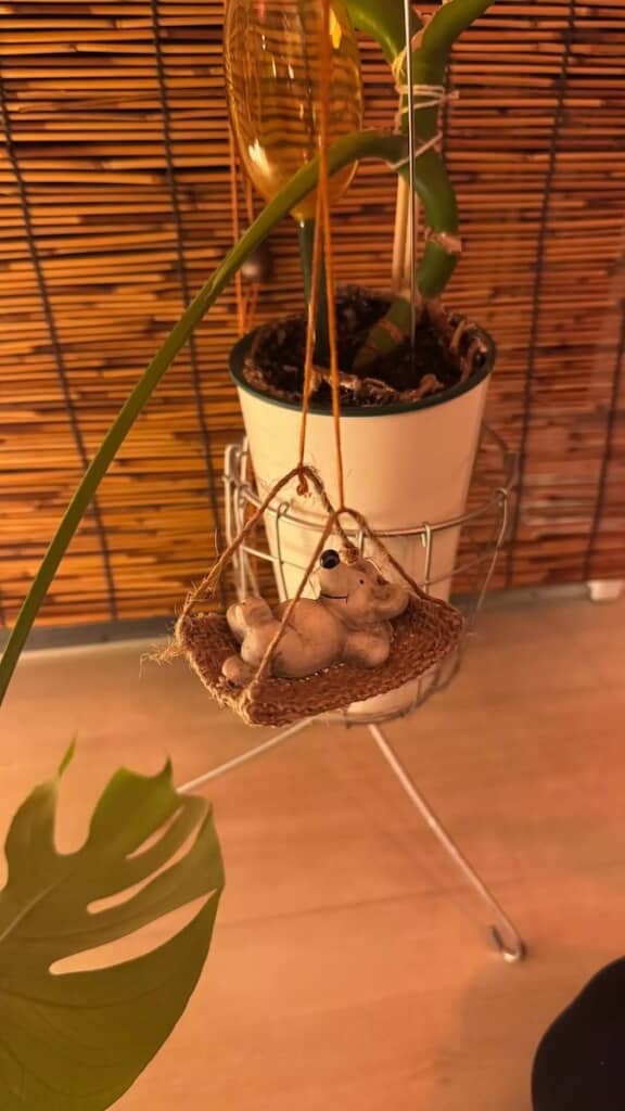 こちらの観葉植物にはハンモックがかかり、ぬいぐるみがくつろいでいました