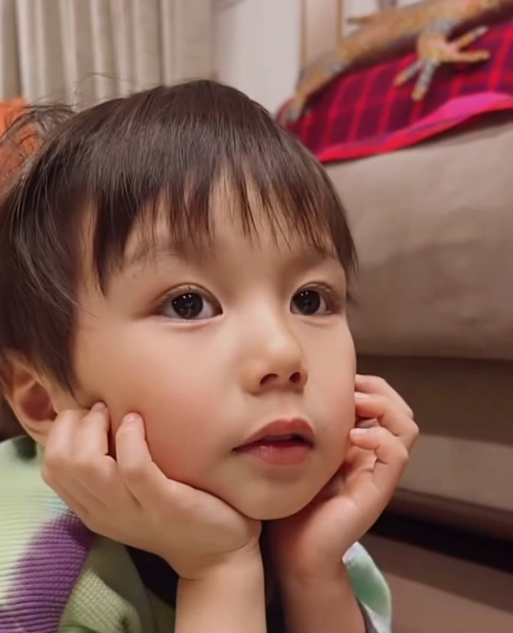 物思いにふけるかのようなこたろうくん