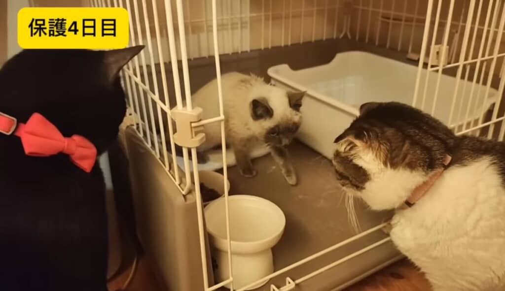 4日目には無事に退院