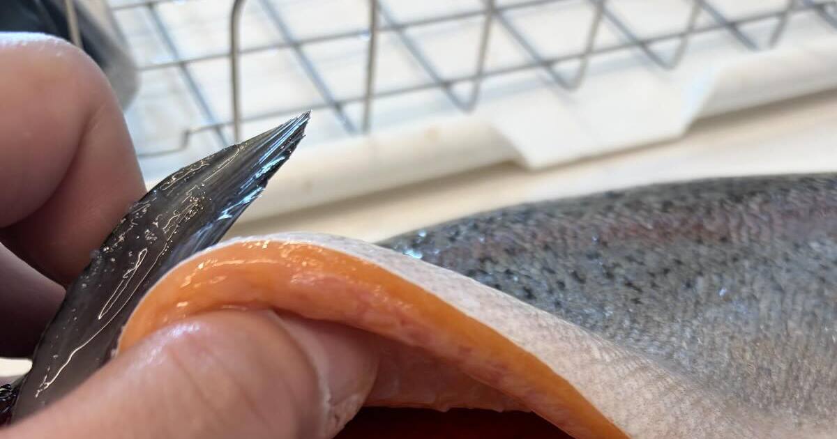 サーモンが釣れて大歓喜→ウキウキでおなかを開くと……　思わぬ中身に「この時期に？」「マジマジ見ちゃいました」 | ライフスタイル ねとらぼ