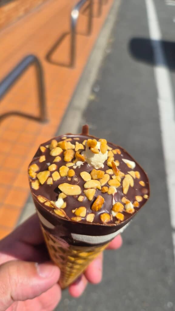 ひよこみたいなのがいた!!