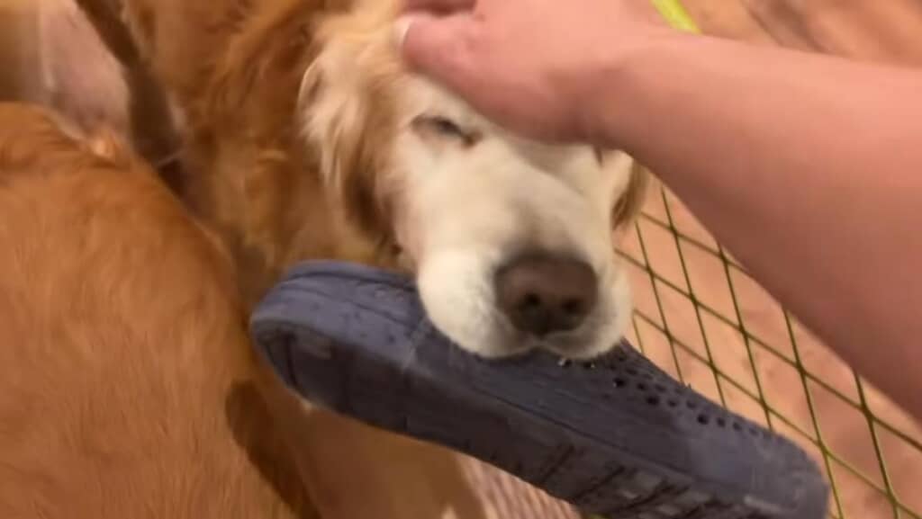 幸せそうなミントくん