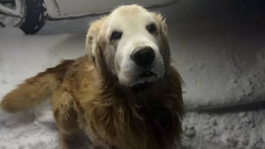 久しぶりのお散歩も楽しいね！