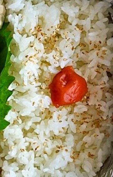 漫画家がサラリーマン時代に作った弁当の写真