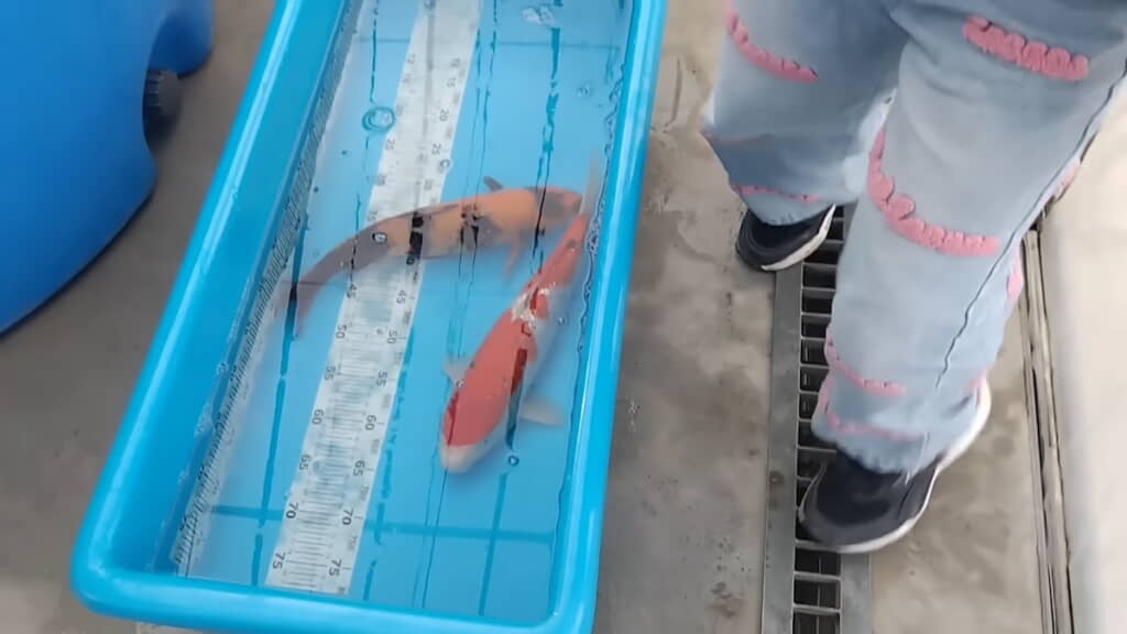 これからの成長に期待