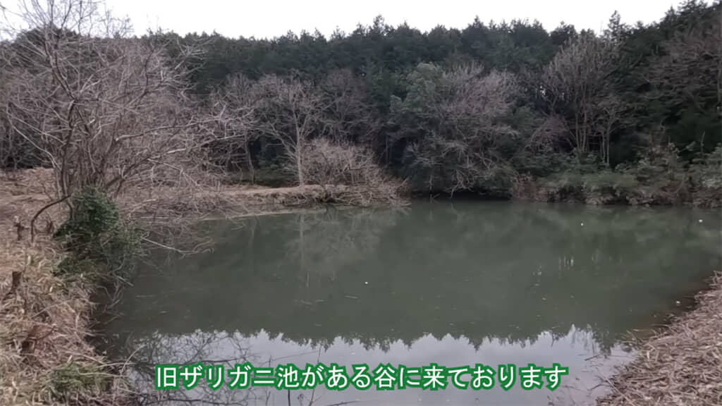 旧ザリガニ池にやってきました