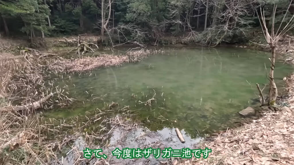ザリガニ池の中に入ってみることに