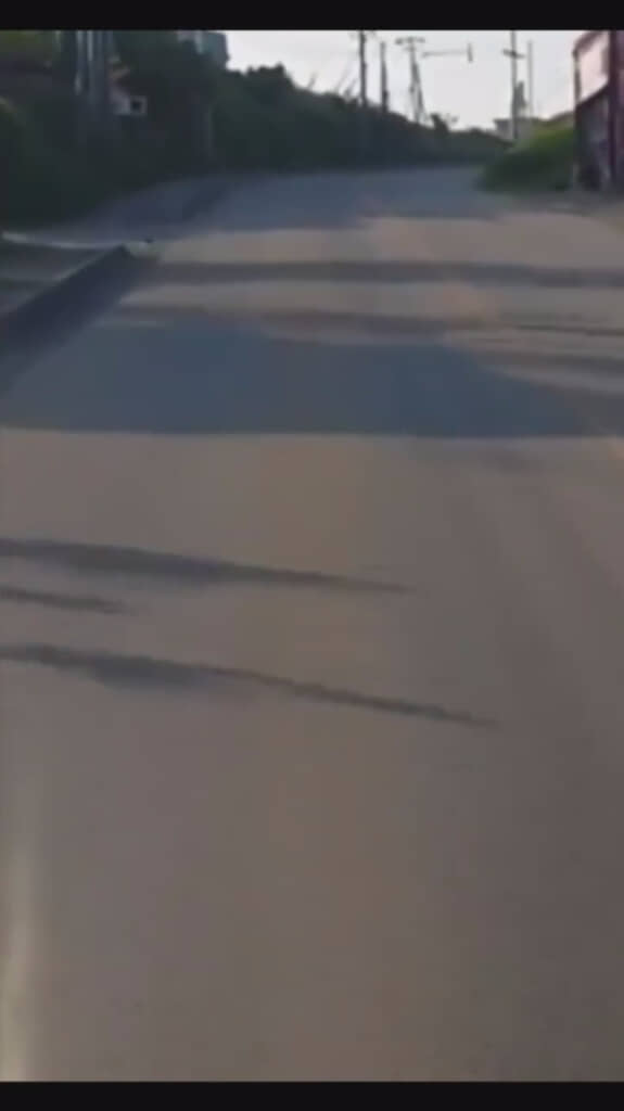 行く先に小さな影