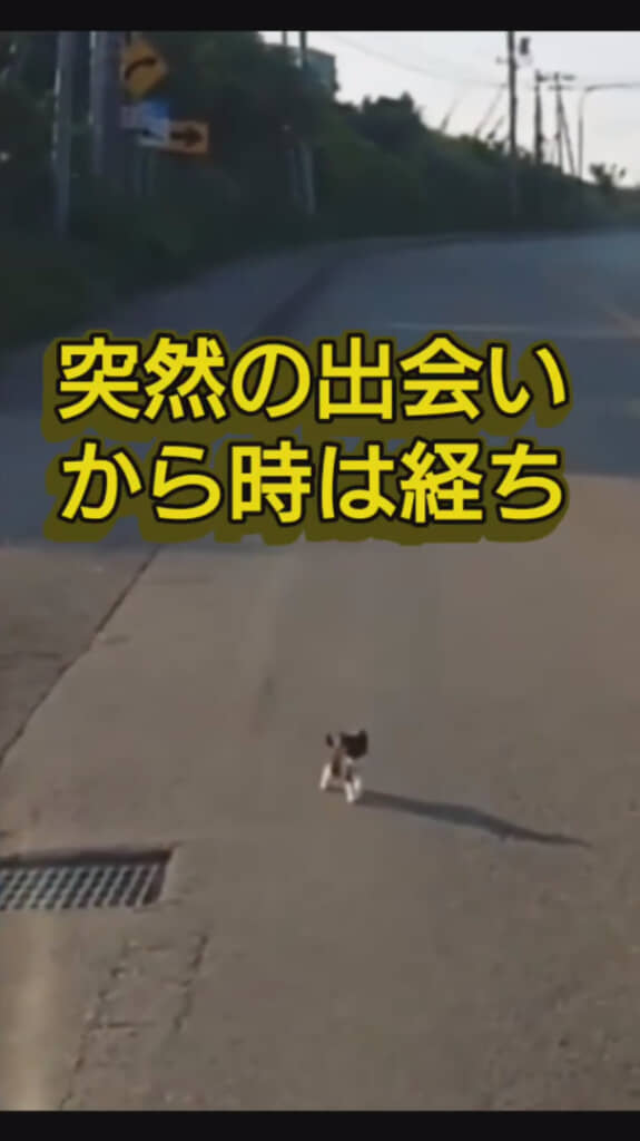 衝撃的な出会いは9カ月前