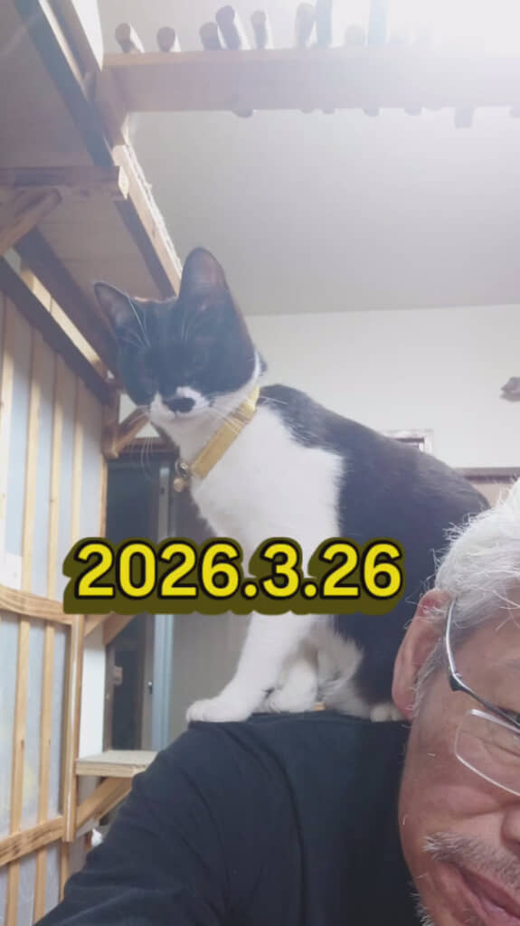 9カ月で急成長!