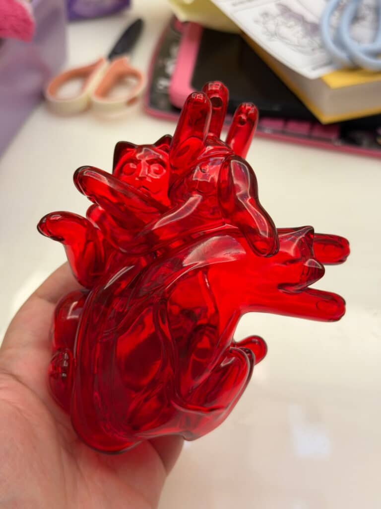 猫好きな人の心臓かもしれない