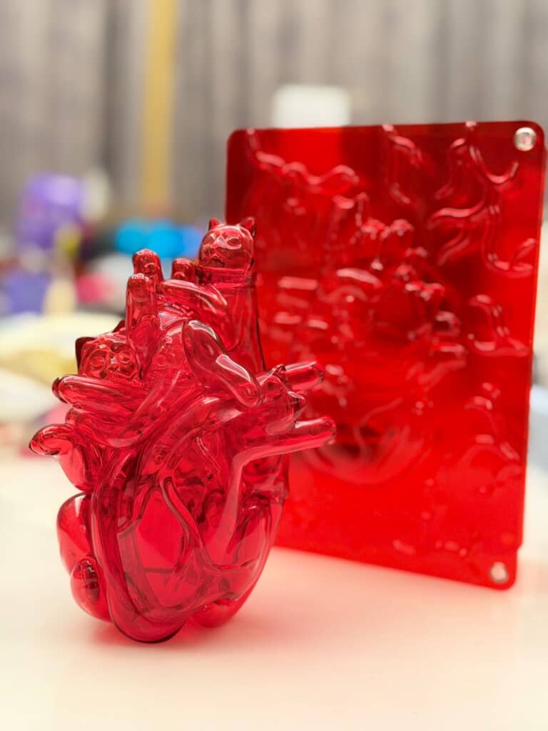 猫4匹をくっつけると人間の心臓みたいになった!?