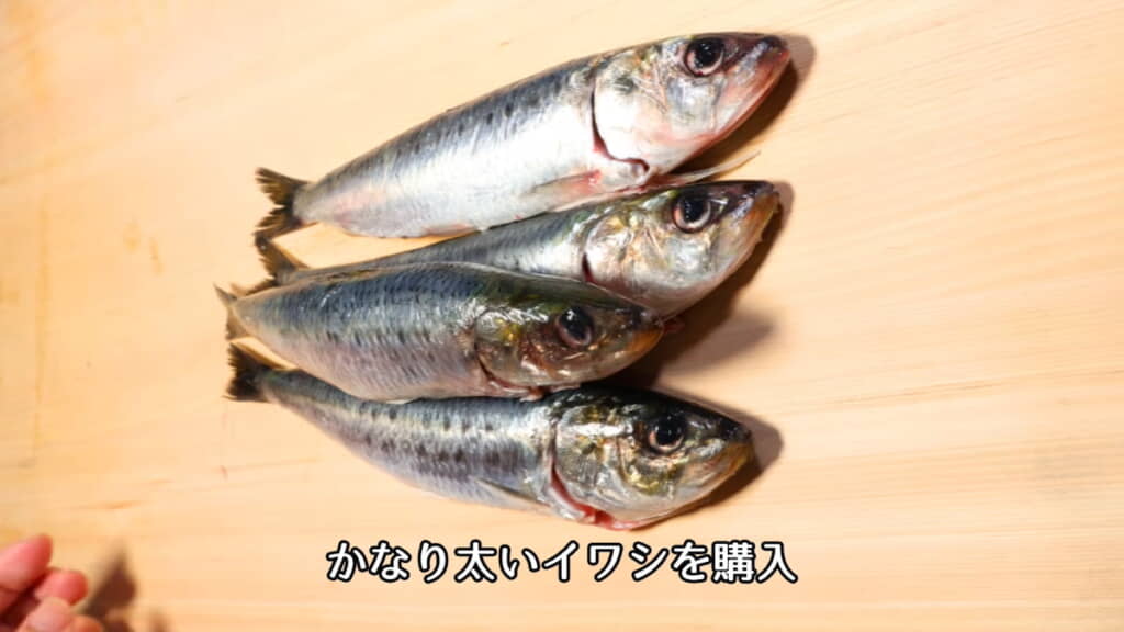 さばく前の今回のイワシ
