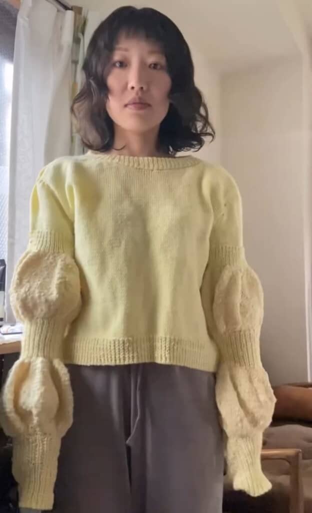 マダムにほめられたニット