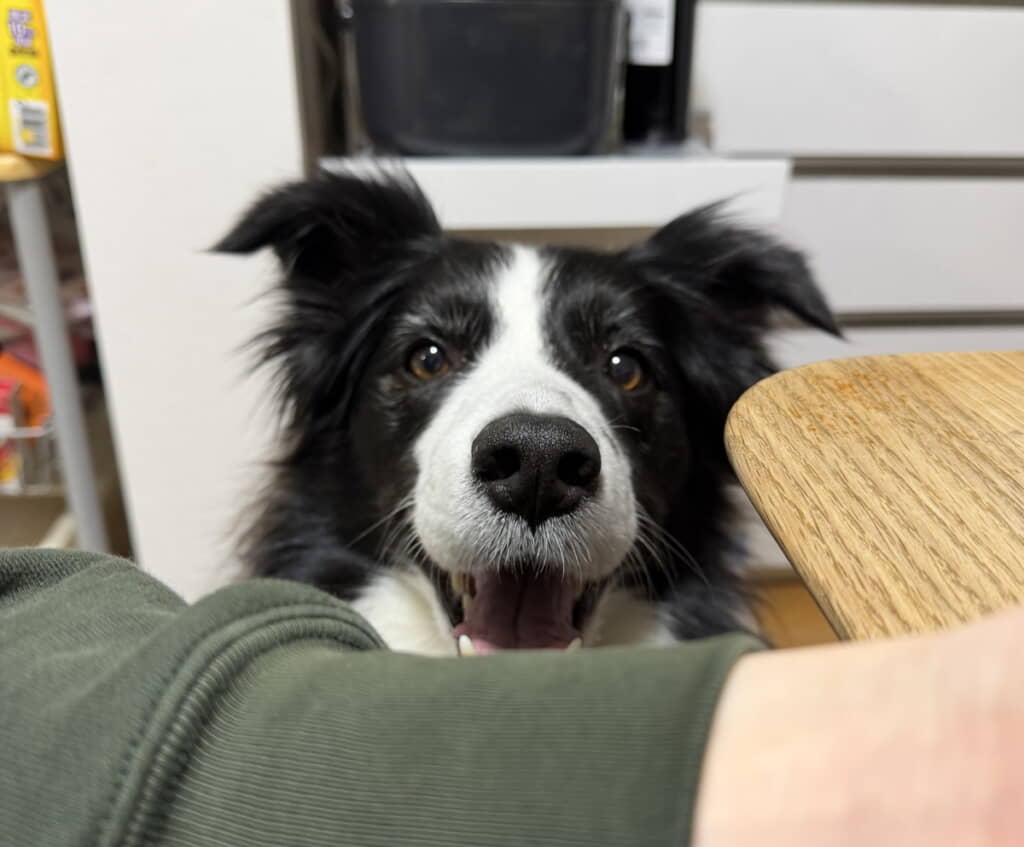 1カ月後、なんだかしっとりしている？