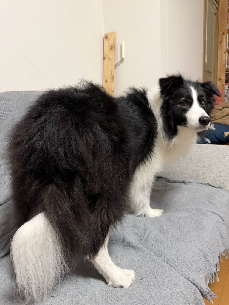 おしりもふんわり