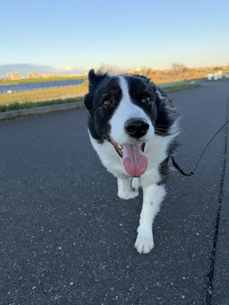 強風でも笑顔でお散歩◎