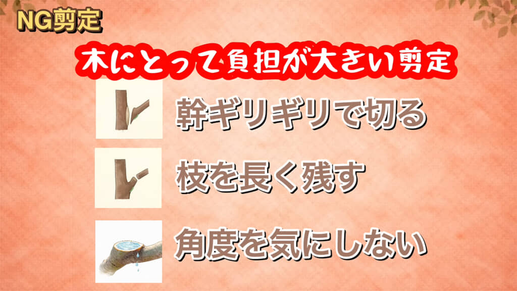 NG剪定の3パターン