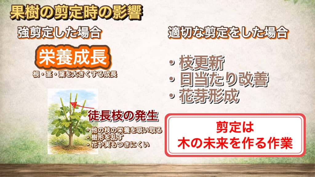 果樹の場合はさらに剪定が重要になってきます