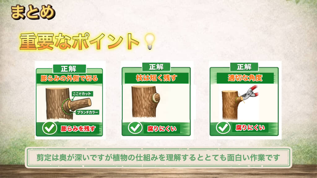 3つのポイントを押さえて剪定に取り組みたいですね