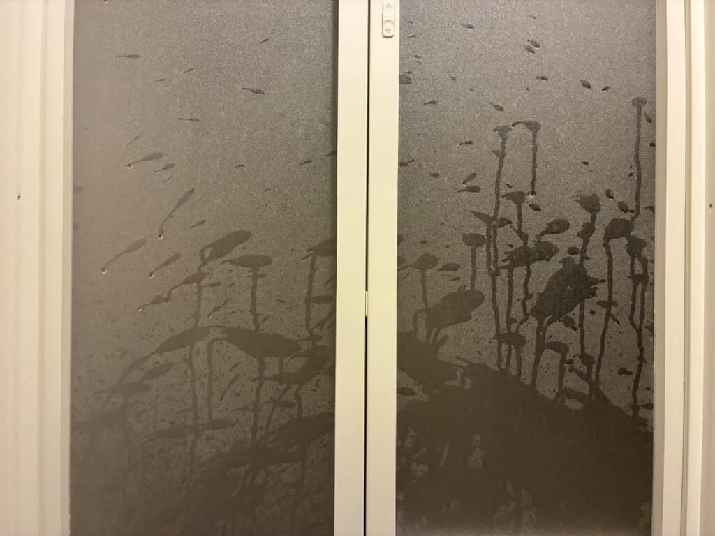 フラミンゴがたくさんいる！