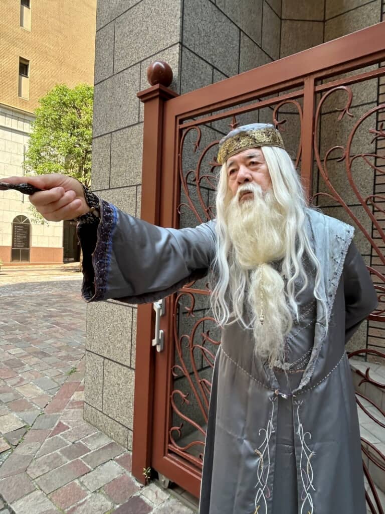 ダンブルドア先生に扮した姿（理想）