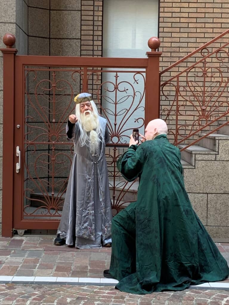 敵対しているヴォルデモートに撮影してもらっているダンブルドア校長（現実）