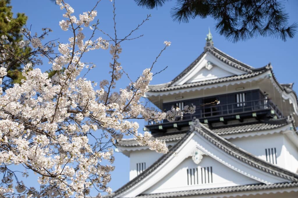 夫が撮影した妻の写真とは？（イメージ画像／出典：PIXTA）