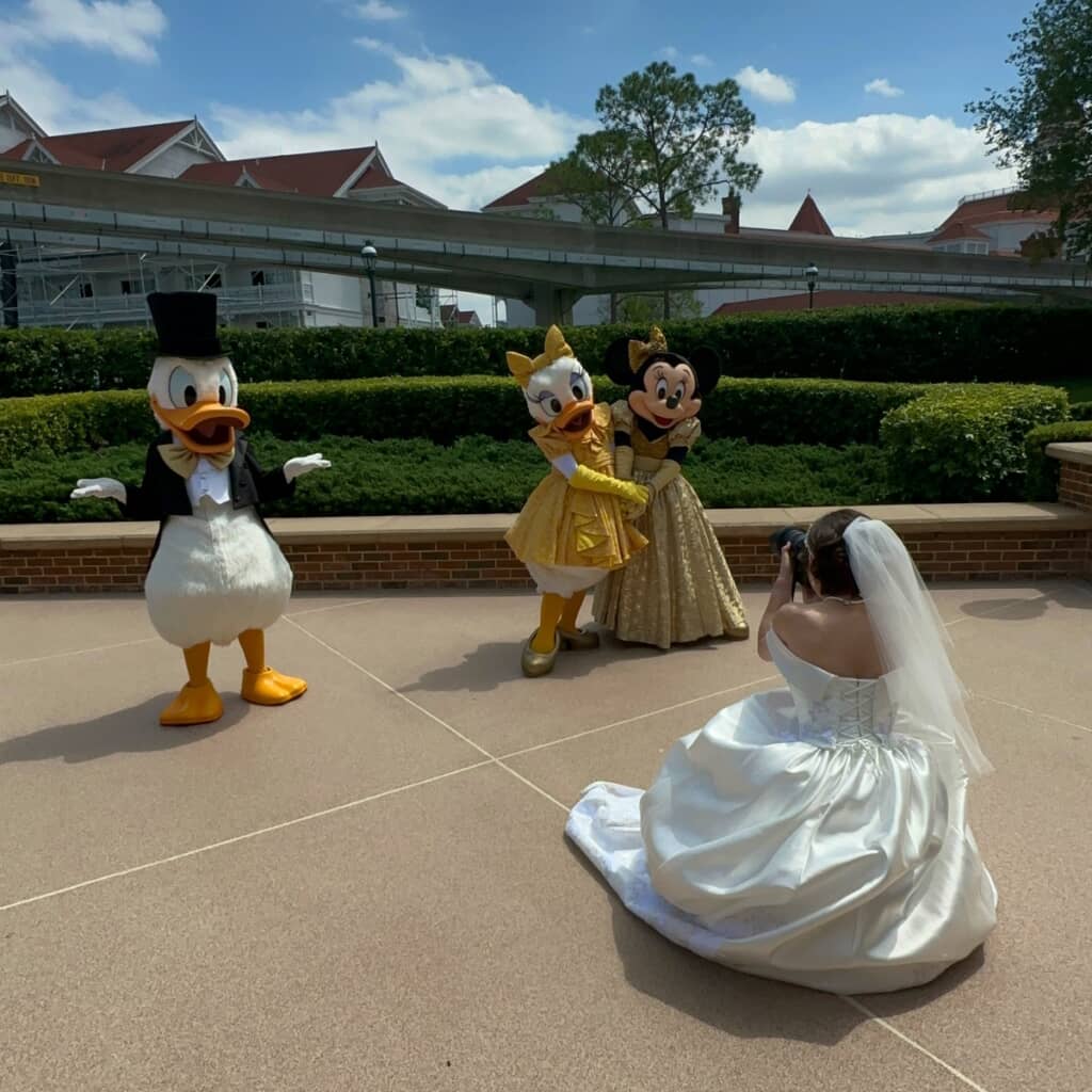 自分の撮影はそっちのけでミニーとデイジーを撮る花嫁と呆れるドナルド