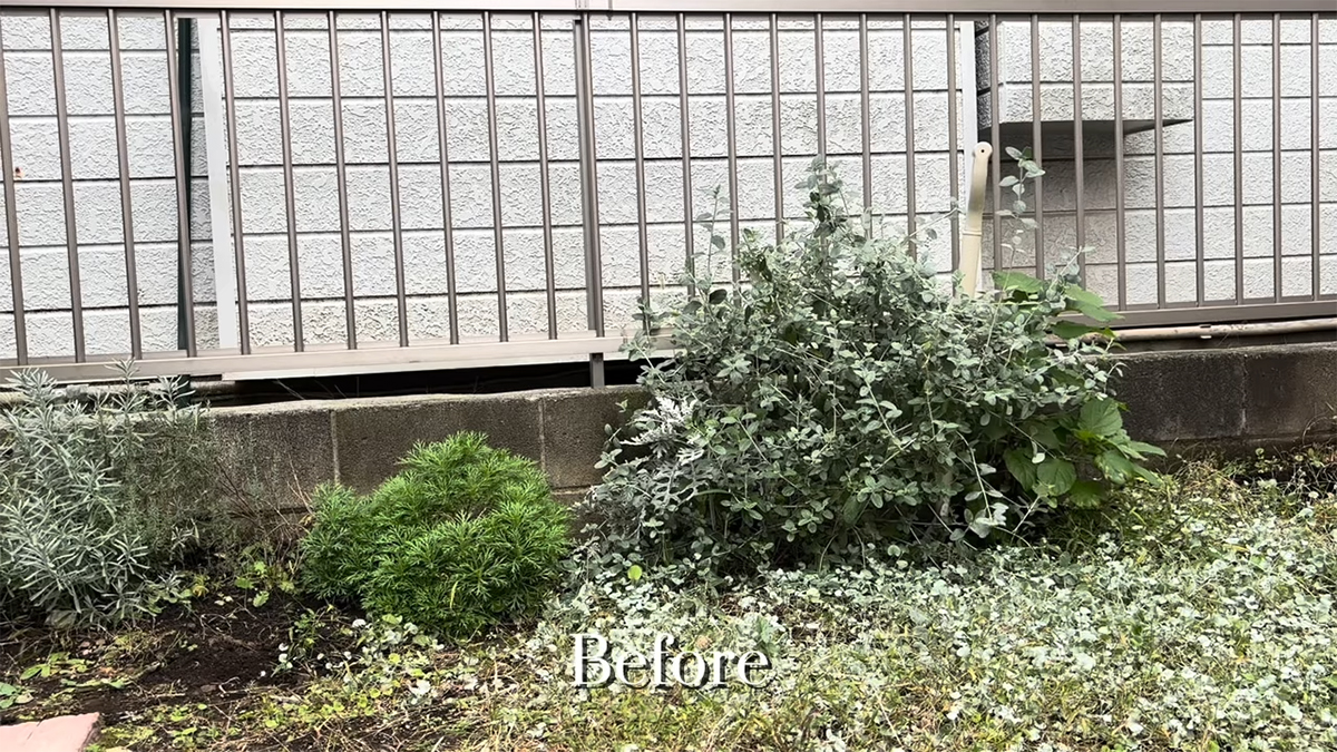 子育てママが小さな庭を“ゼロ”からDIYしたら……　思わず感動の光景に「何もかもが絵になります」「羨ましい」（1/3） | ライフスタイル ねとらぼ