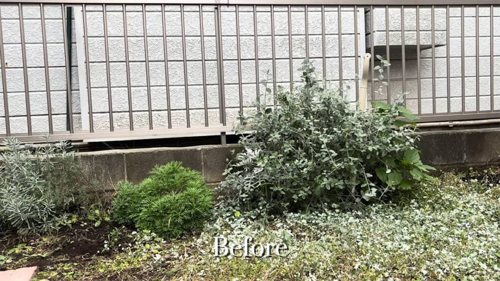 小さな庭のビフォー