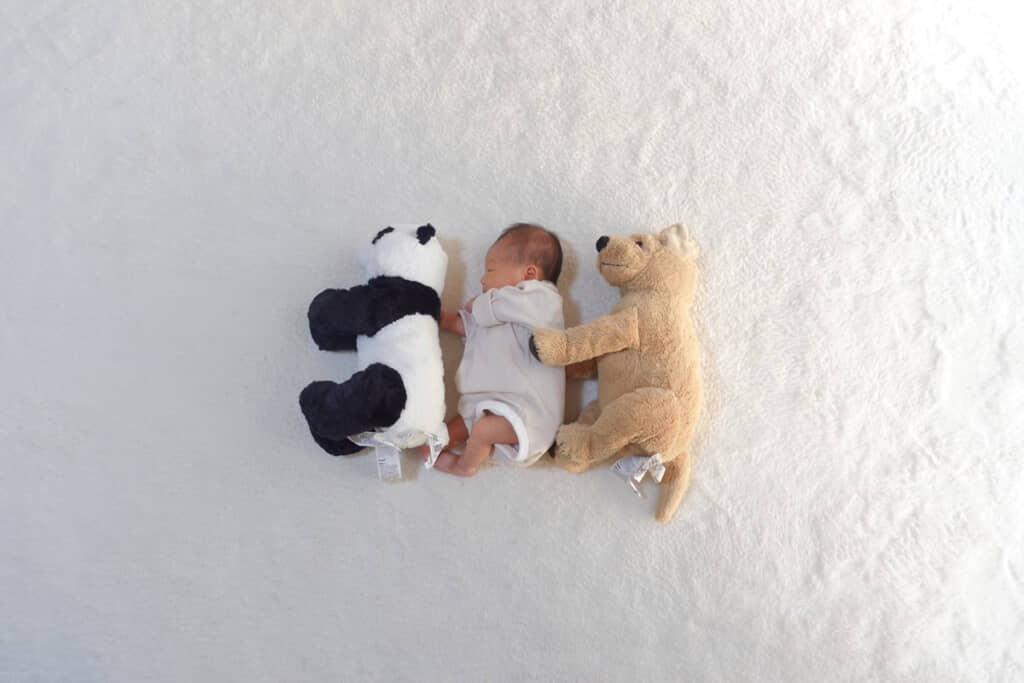 なんてちっちゃいんだ……