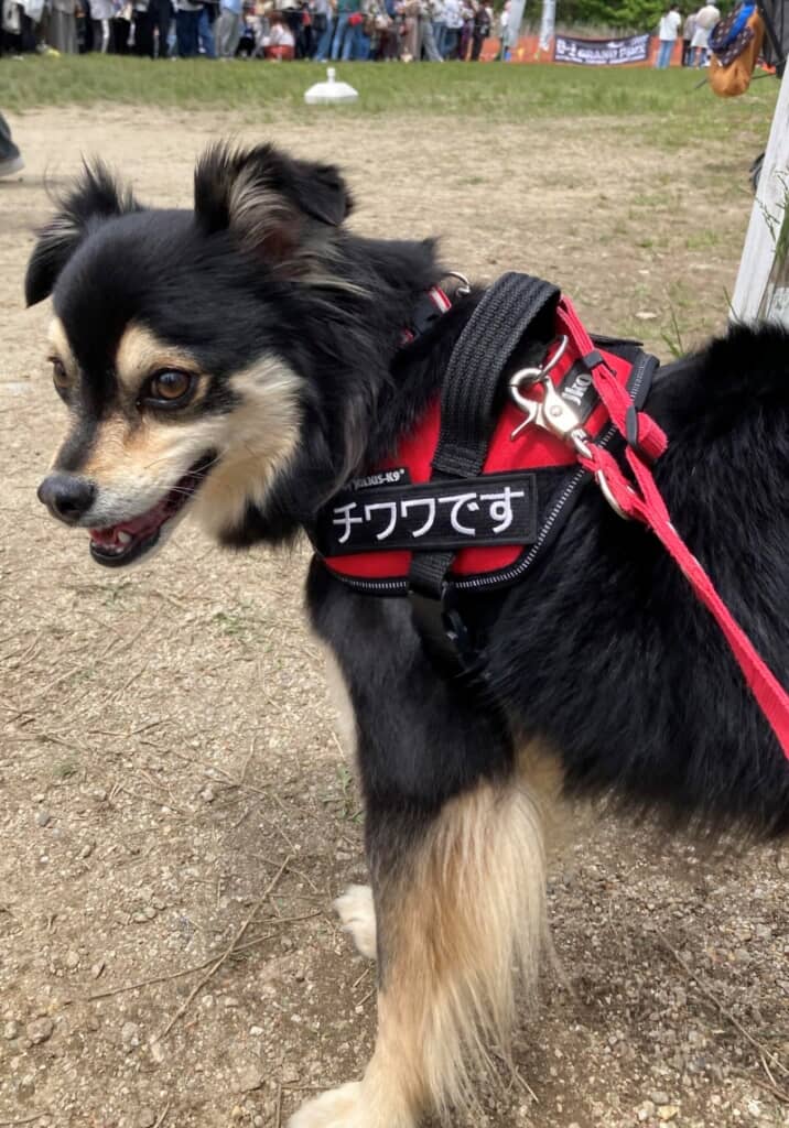 かわいいというよりイケメンだ！