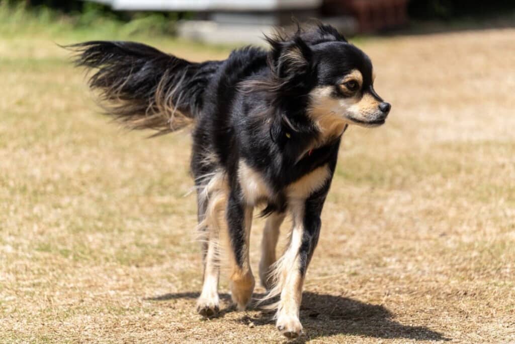 モデルのようなイケメンぶり