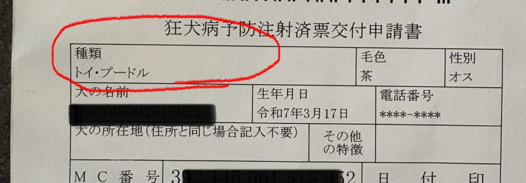 申請書にある種類は「トイ・プードル」
