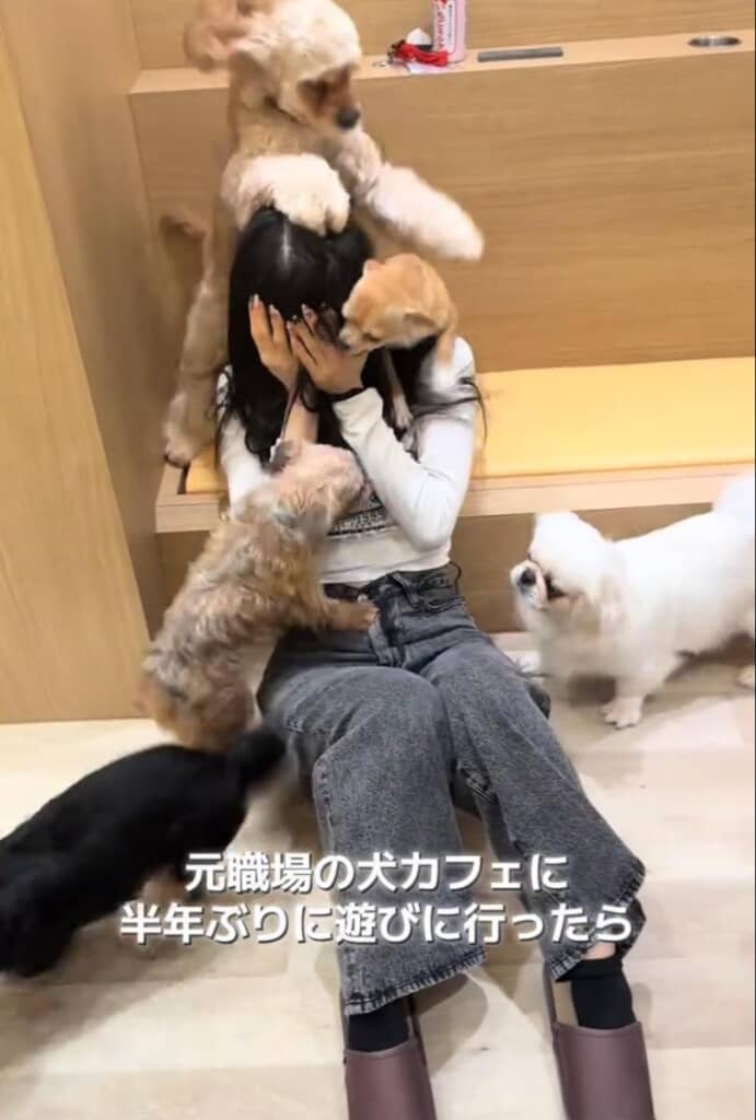 激しいコミュニケーションに少し押され気味