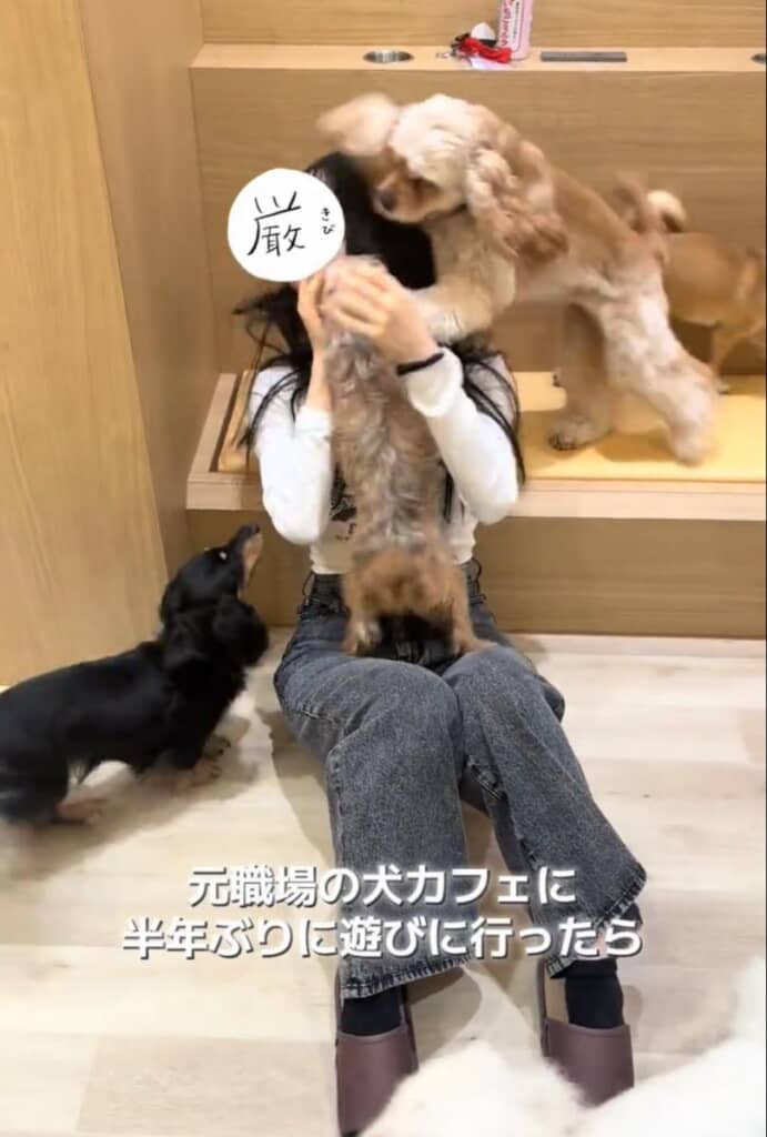 みんな好きが止まらない！