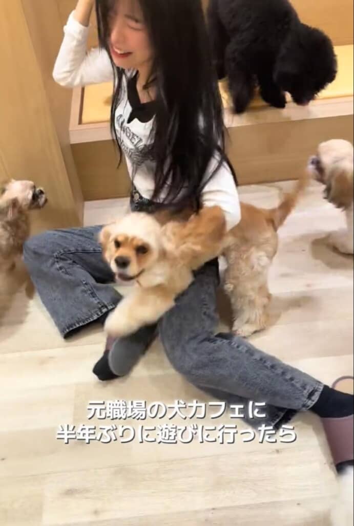 わかにゃんさんは優しくかわします