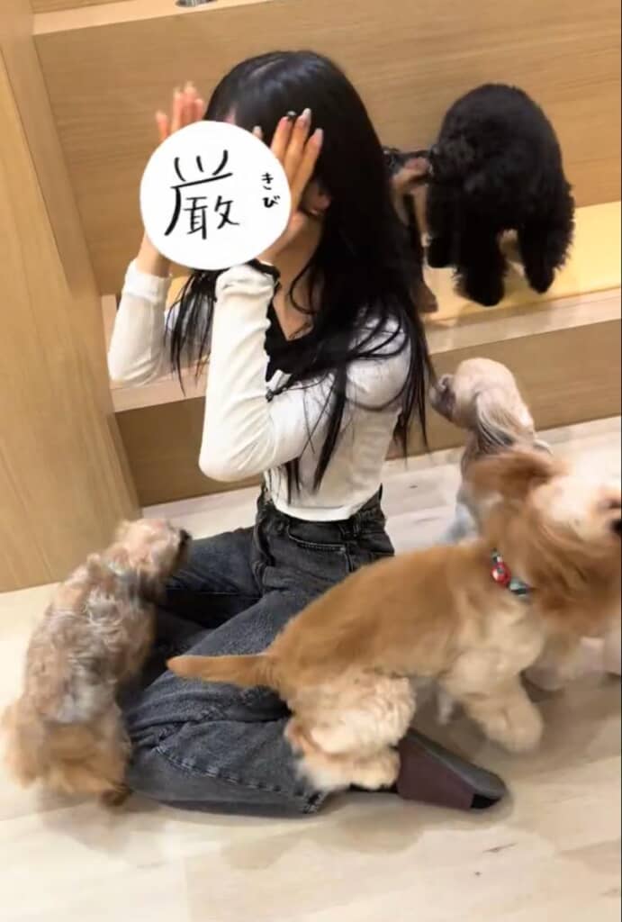 わかにゃんさんにとってもうれしい瞬間なのでした