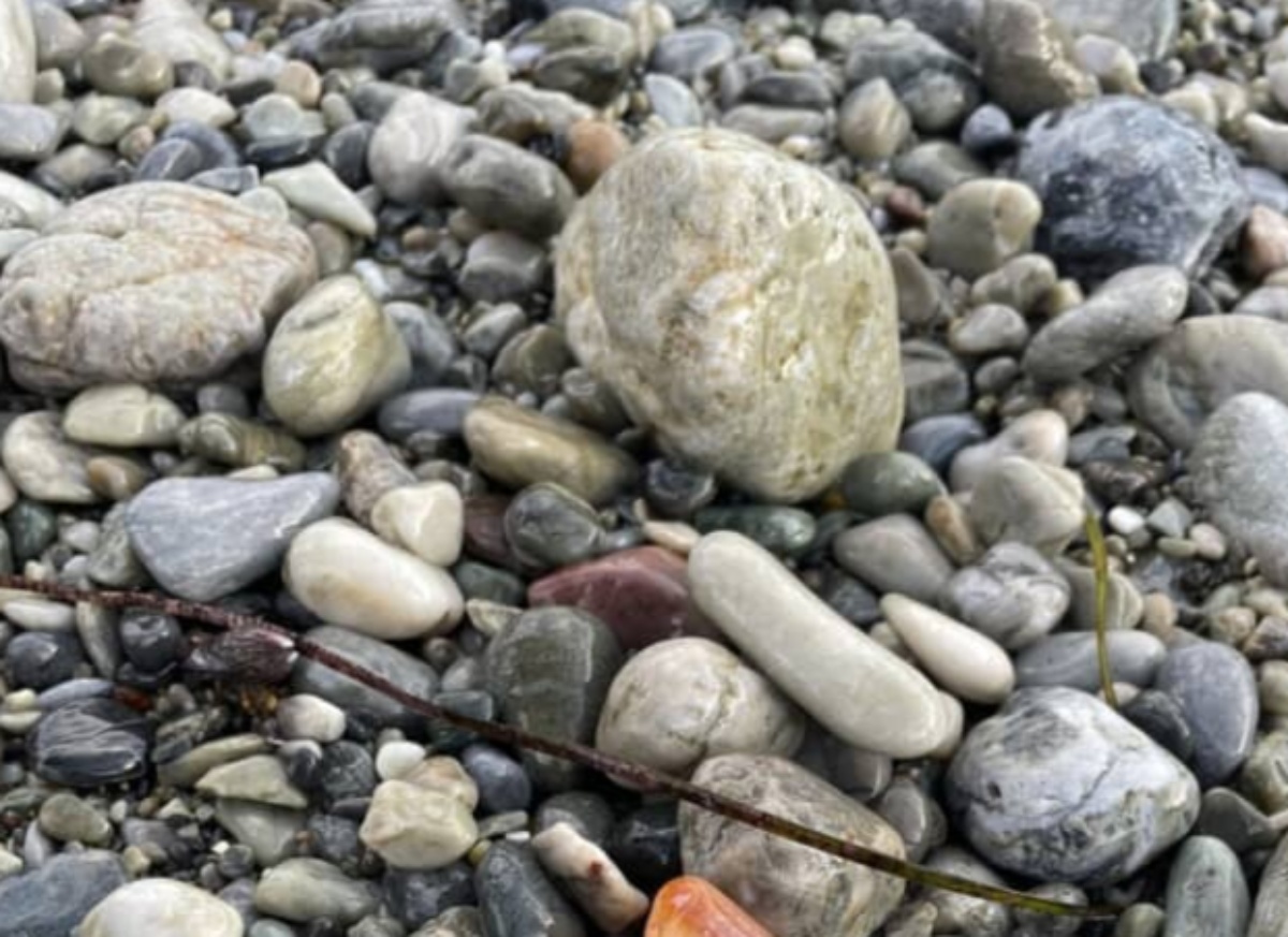 海岸で見つけた石ころ→よく見ると……「ぬおおおおぉーっ！」　“家宝級”のお宝に「これはすごい」「シウマイ弁当に入ってるやつ」（1/3） | ライフスタイル ねとらぼ