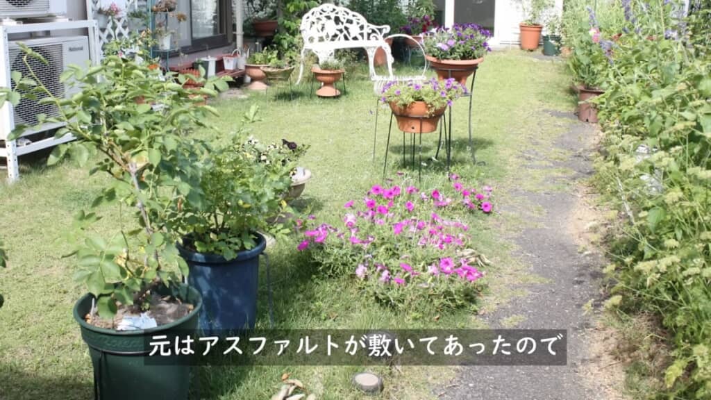 アスファルトの地面が