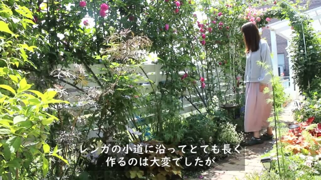 バラの咲き誇る真っ白なフェンスに！