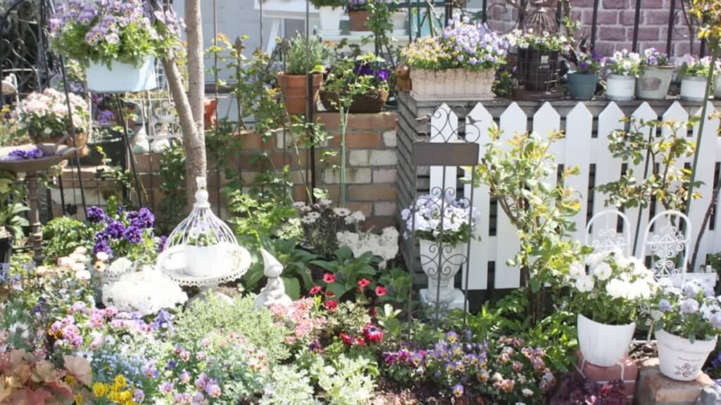 バラや宿根草の花壇に作り変えました