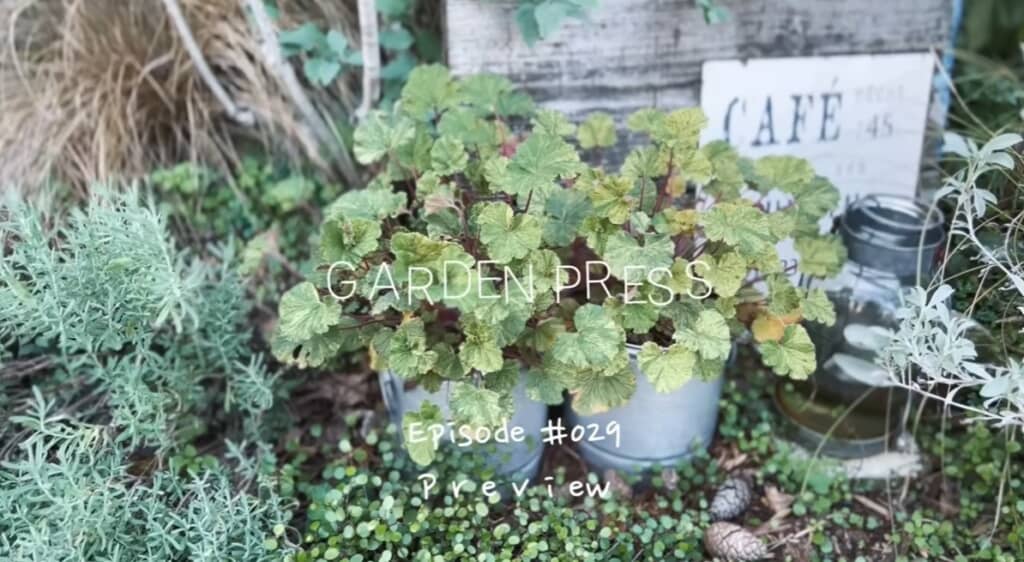 garden pressさんの庭がグッとおしゃれに見えるコツ