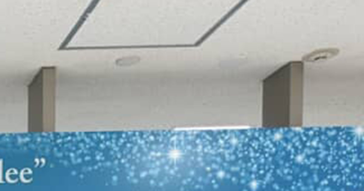 「これのためだけに成田に行きたい」 ディズニー帰り、成田空港で目に飛び込んできたのは…… まさかの光景に「すごいですね!」(1/2) | ライフスタイル ねとらぼ