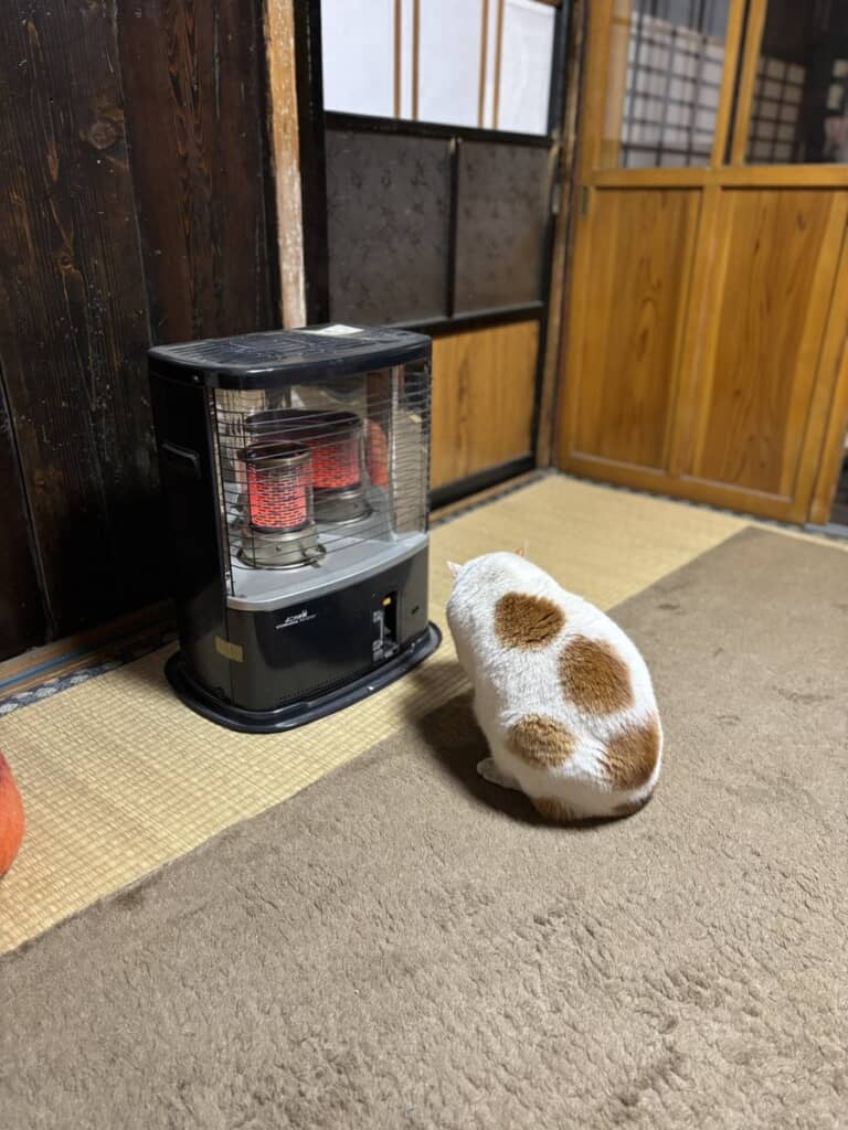 ストーブであたたまる大作さん