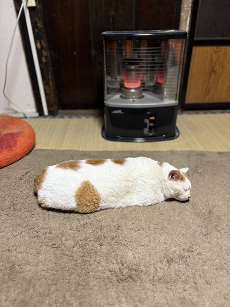 こちらは焼きちくわ風味