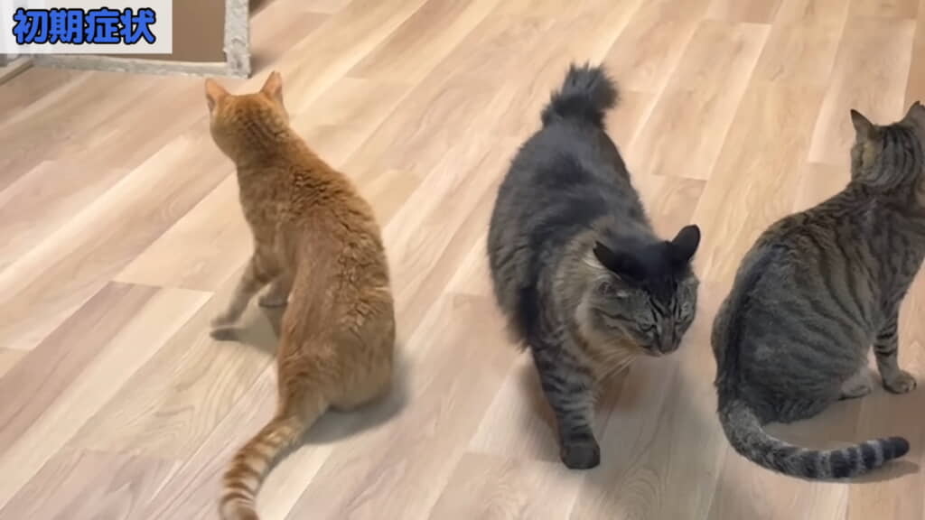 下半身が脱力して腰がくだけたようになる