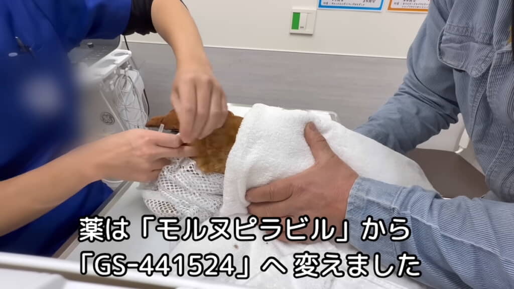 注射を打つために毎日病院へ通うことに