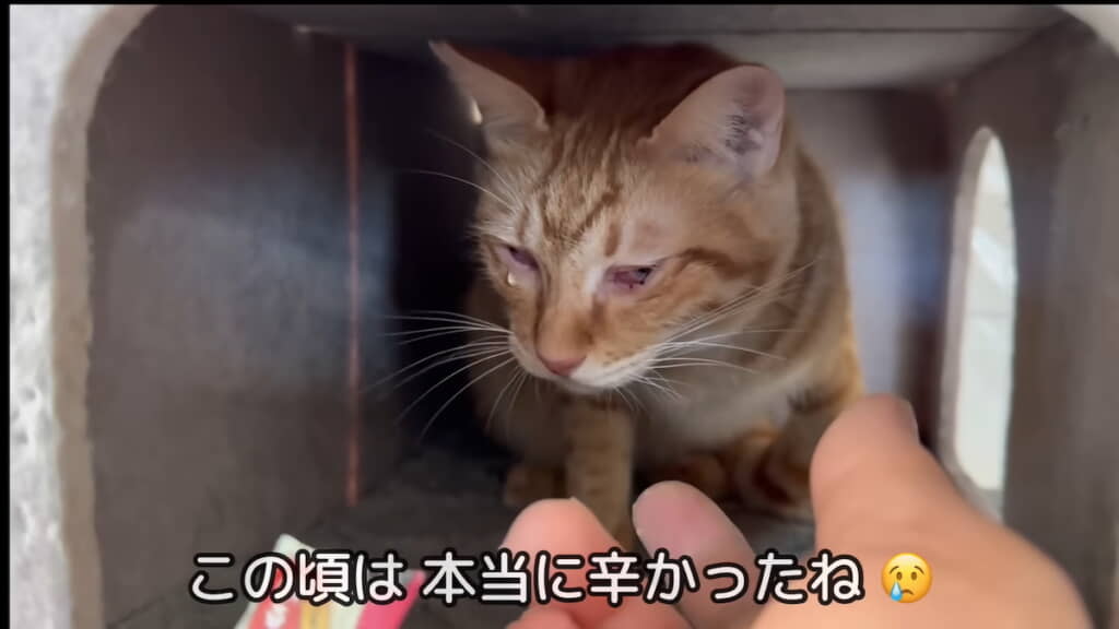 涙を流すきんたくん